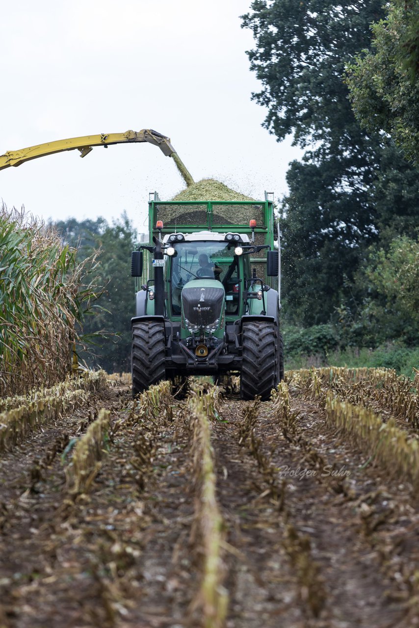 Bild 202 - Maisernte